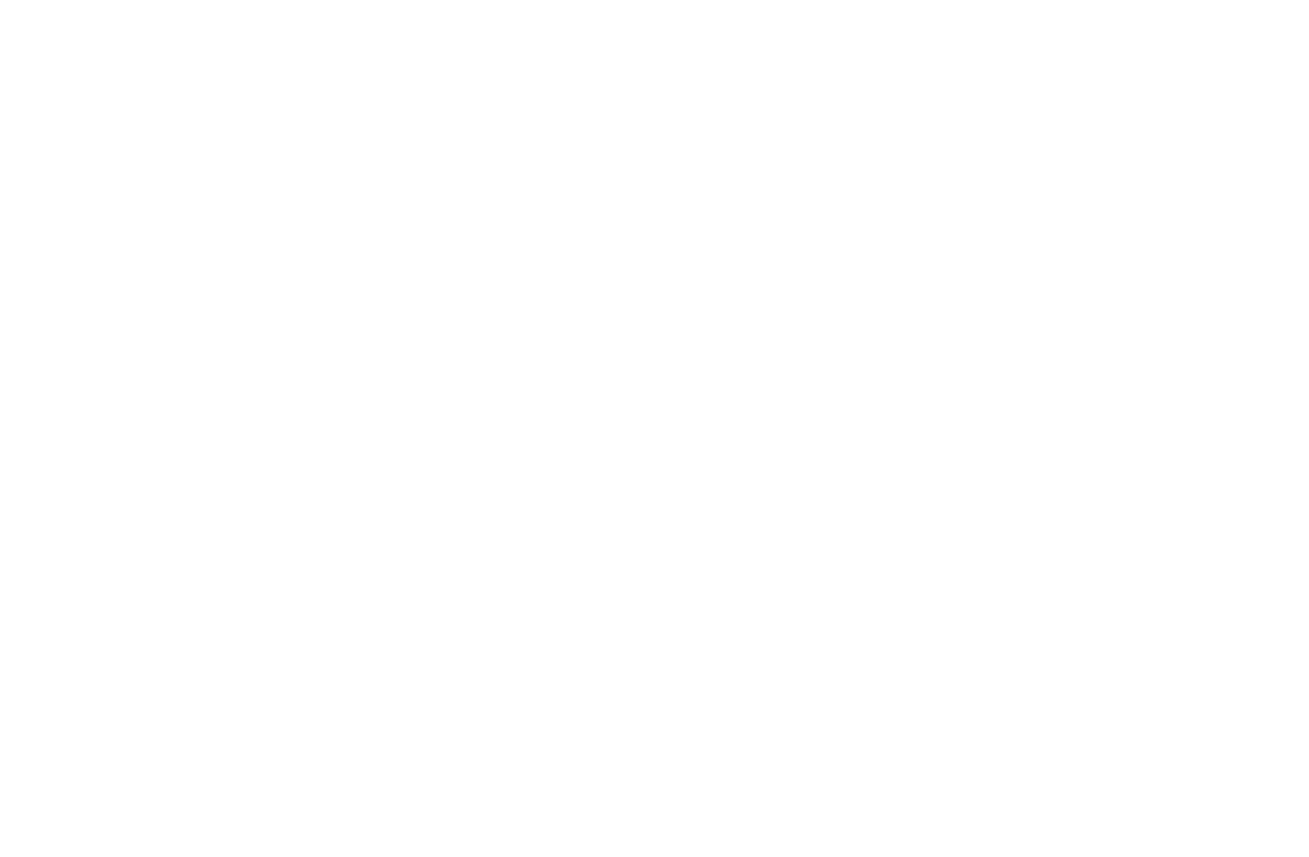 Alto Stucky